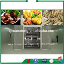 China Secador de túnel de frutas vegetales